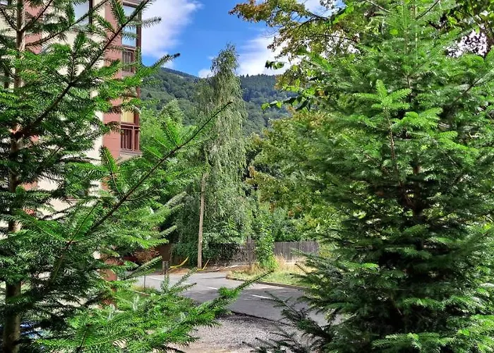Sinaia Relax Residence