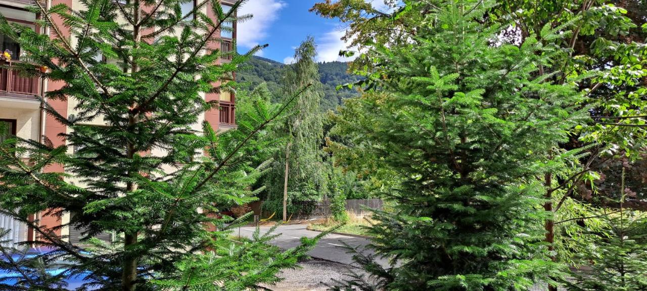 Relax Sinaia