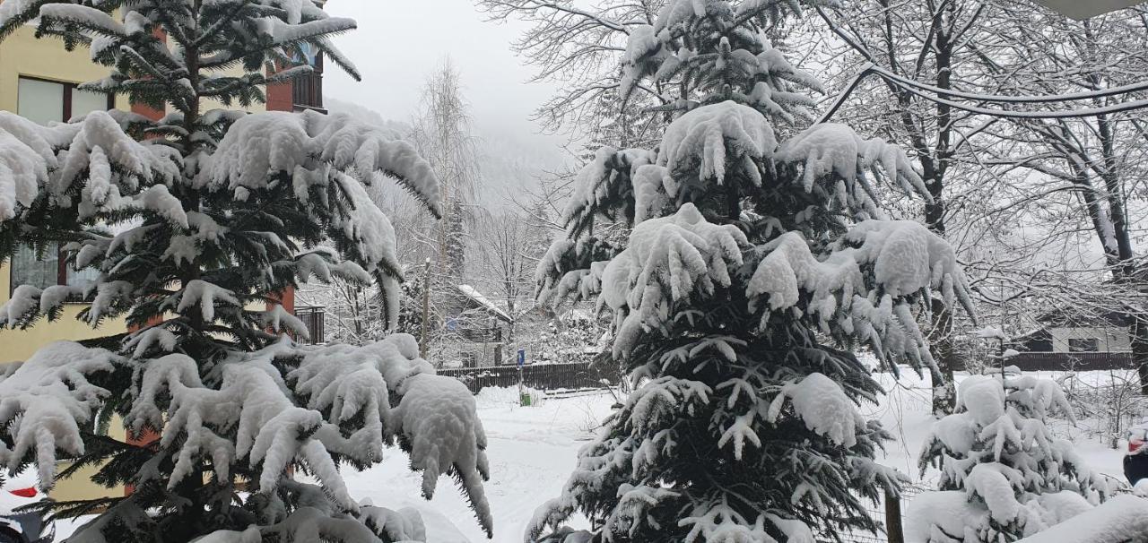 Relax Apartment Sinaia
